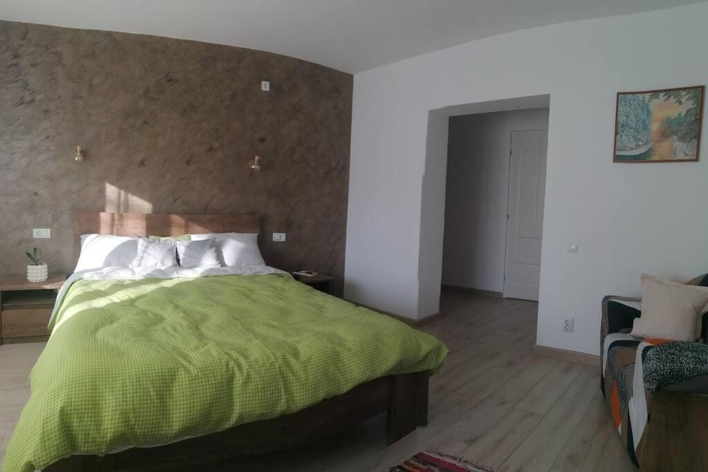 Casa Cu Trandafiri Villa Baia Mare Exteriör bild