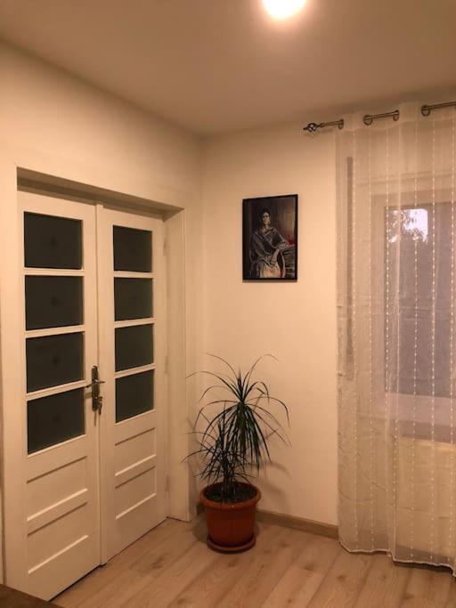 Casa Cu Trandafiri Villa Baia Mare Exteriör bild