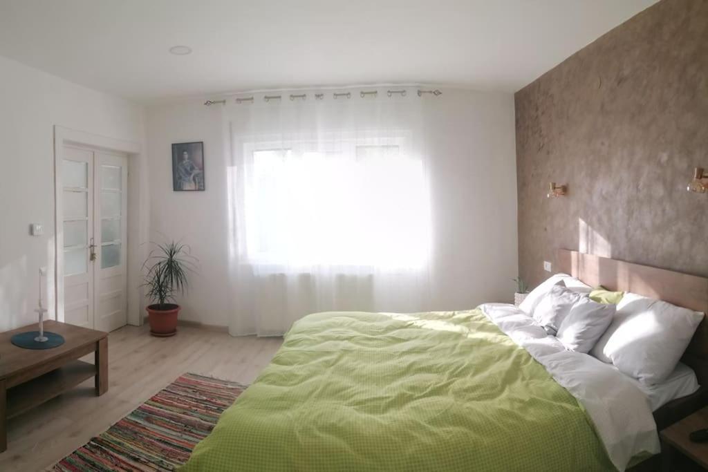 Casa Cu Trandafiri Villa Baia Mare Exteriör bild