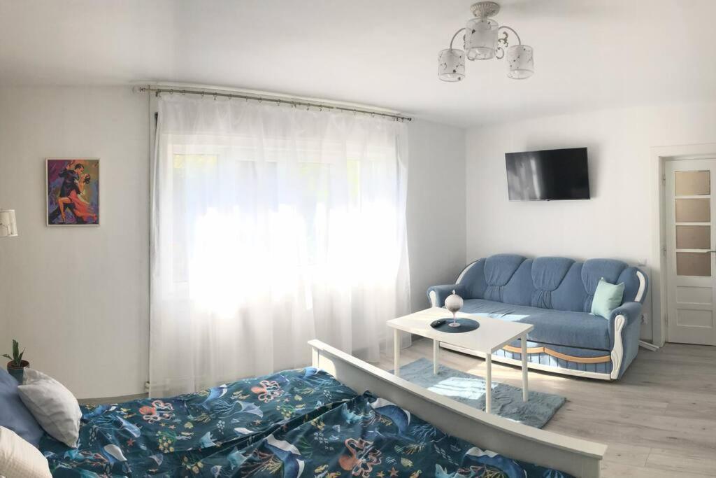 Casa Cu Trandafiri Villa Baia Mare Exteriör bild