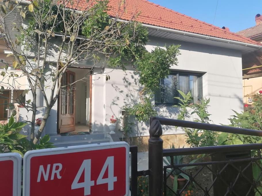 Casa Cu Trandafiri Villa Baia Mare Exteriör bild